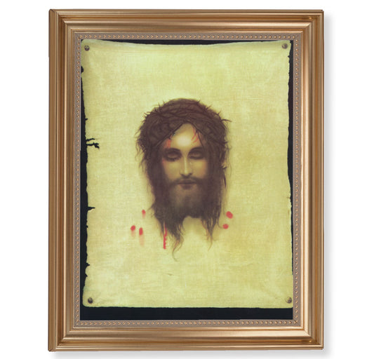 Veronica's Veil Picture Framed Wall Art Decor Extra Large