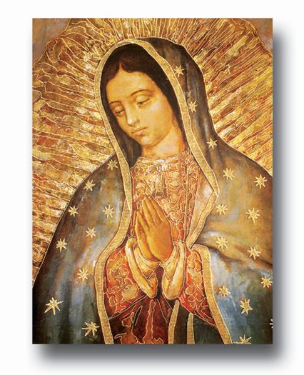 Our Lady of Guadalupe Italian Poster Wall Art Decor Print Poster, Extra Large