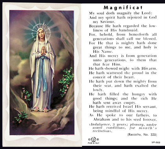 Our Lady of Lourdes Catholic Prayer Holy Card Pack of 100