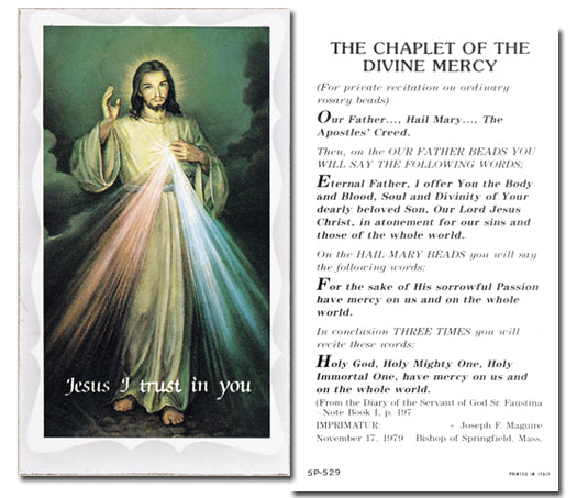 Chaplet of the Divine Mercy Catholic Prayer Holy Card with Prayer on Back, Pack of 100