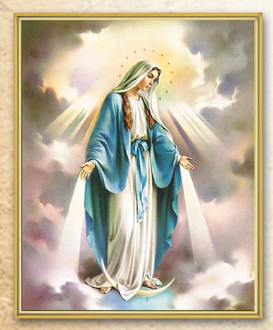 Our Lady of Grace Picture Framed Plaque Wall Art Decor