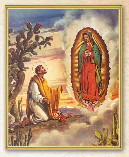 Our Lady of Guadalupe with Juan Diego Framed Art Plaque