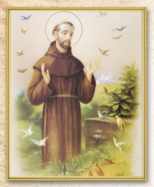 St. Francis Picture Framed Plaque Wall Art Decor Medium