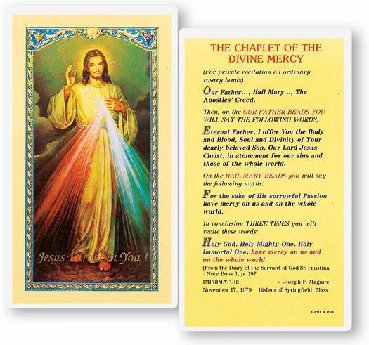 Divine Mercy Chaplet Laminated Catholic Prayer Holy Card Pack of 25