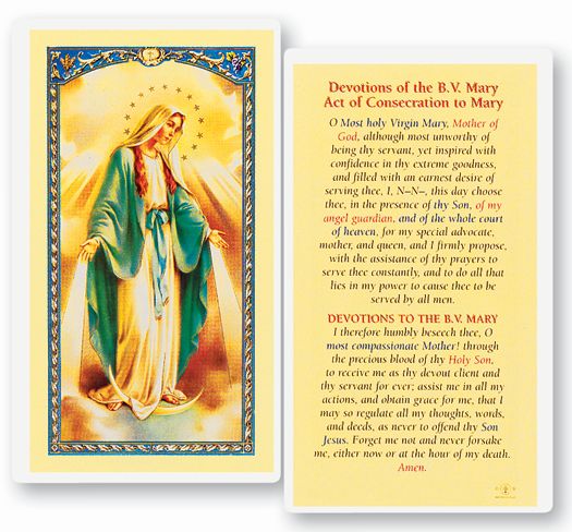 Devotions of the Blessed Virgin Mary Laminated Holy Card Pack of 25