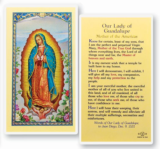 Our Lady of Guadalupe Laminated Catholic Holy Card Pack of 25