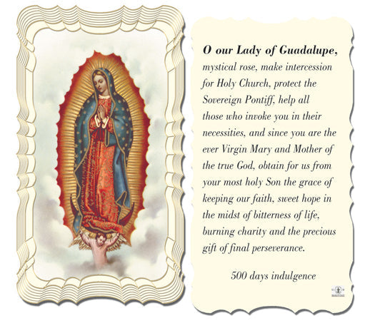 Our Lady of Guadalupe-Mystical Rose Catholic Prayer Holy Card Pack of 50