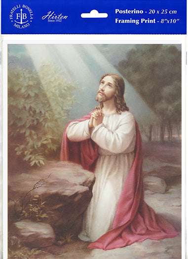 Christ on the Mount of Olives Framing Print Wall Art Decor Set of 3