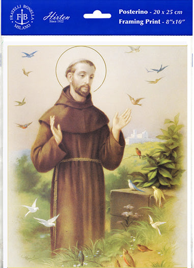 St. Francis Framing Print, Medium, Print Only 8x10 Size