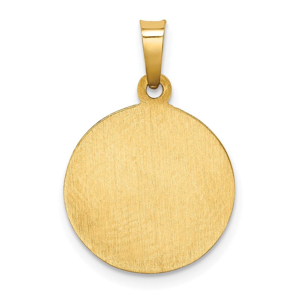 Extel Medium 14k Polished Patron Saint Francis Medal Charm